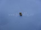  - Koncovka lanka se roubem - 5x8mm od  www.jawadily.cz